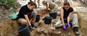 Завершилась эксгумация жертв Волынской трагедии в Островках и Воле Островецкой: специалисты обнаружили останки 55 человек