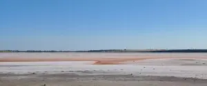 Жара меняет ландшафт: в Николаевской области обмелело уникальное розовое озеро