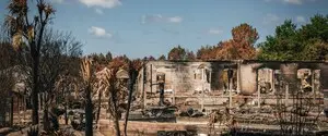 Самые масштабные пожары со времён Второй мировой войны: во Франции задержали 420 подозреваемых в поджогах