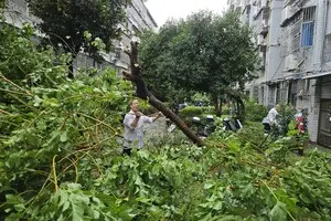 У Пекіні евакуюють тисячі людей через тайфун 