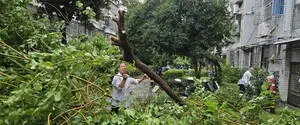 У Пекіні евакуюють тисячі людей через тайфун 