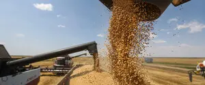 В Новороссийске после атаки беспилотников приостановили работу два зерновых терминала — Reuters
