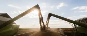 Украина просит ЕС помочь фермерам: как отреагировали в Еврокомиссии