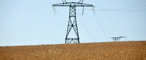 Украинские аграрии уже обмолотили 56% прогнозируемых площадей