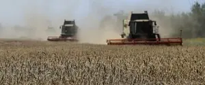 Цены на пшеницу взлетели из-за ударов по портам в Чёрном море — FT