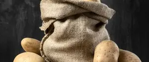 В Украине картофель дешевеет уже вторую неделю подряд: сколько он стоит