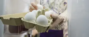 Производители куриного мяса и яиц предупредили о конфликте с ритейлерами: чего ожидать потребителям