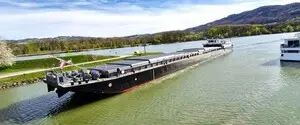 До 70 судов застряли возле Дуная: очередь тормозит экспорт зерна из Украины