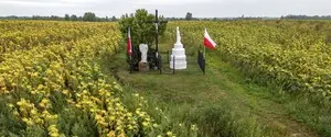 На Волыни перезахоронили 55 жертв Волынской трагедии: половина — дети