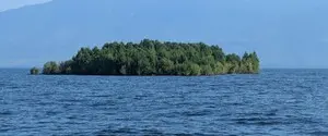 У канадському озері з’явився загадковий плавучий острів