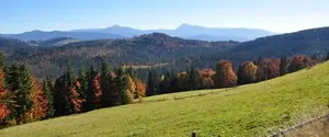 Осень в Карпатах: маршруты среди золота гор