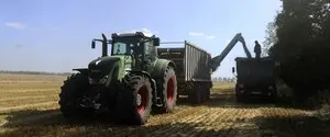 Азиатские импортеры скупают пшеницу в Австралии и Аргентине из-за атак на суда в Чёрном море — Reuters