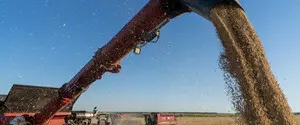 Грузы простаивают по 20 суток: в направлении Рени — Измаил накопилось две тысячи вагонов
