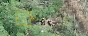 Очередное военное преступление РФ: вблизи Доброполья россияне казнили двух пленных национальных гвардейцев