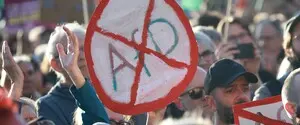 В Германии десятки тысяч человек вышли на протесты против ультраправой АдГ