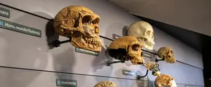 Эволюция оказалась не такой случайной, как считали ученые