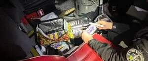 В рейсовом автобусе в Закарпатье обнаружили спрятанные препараты для похудения на сумму в миллионы гривен