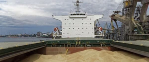 Морское перемирие: Турция и ООН пытаются возобновить зерновое соглашение 2022 года