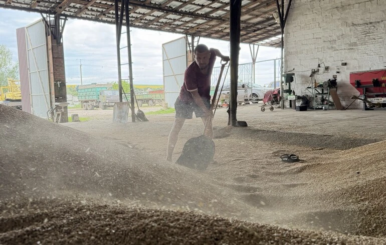 Світові ціни на сільгосппродукцію зросли найсильніше з 2022 року — Bloomberg