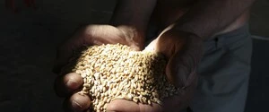 Украина не согласится на вступление в ЕС при наличии постоянных ограничений на продажу сельскохозяйственной продукции