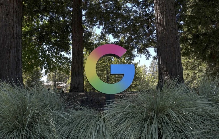 Google вирубала понад 500 гектарів лісу без дозволу: у Фінляндії зупинили будівництво дата-центрів