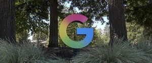 Google вырубила более 500 гектаров леса без разрешения: в Финляндии приостановили строительство дата-центров