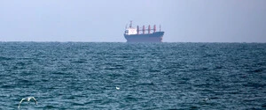 В румынских водах у устья Дуная загорелось судно: восемь членов экипажа пропали без вести