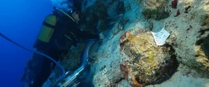Что перевозил корабль 4700 лет назад: у берегов Турции обнаружили самое древнее затонувшее судно