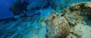 Вез товары в Трою: ученые нашли древнейший затонувший корабль