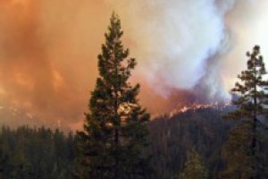 Лесные пожары на Алтае: объявлен режим ЧС