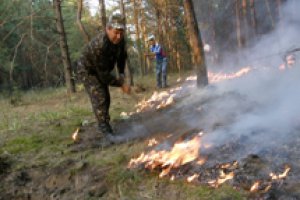 Лесные пожары в Казахстане: пятеро погибших