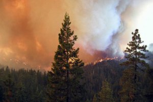 Экологи: Пожары увеличат количество засух на юге России