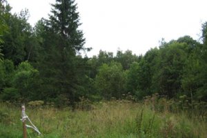 В лесах Головановского района вновь появилась охрана