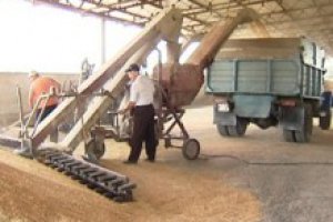 Минэкономики предлагает заставить аграриев,получающих госпомощь, продавать часть урожая государству
