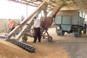 Убытки от ограничений экспорта зерна эксперты оценивают в 6 миллиардов гривен