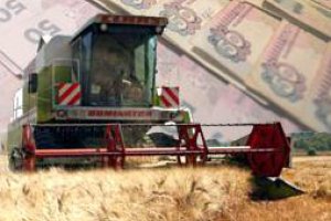 Правительство намерено создать фонд кредитования аграриев