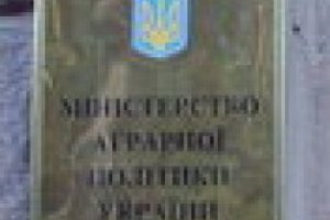 В МинАП ничего не знают о введении квот на экспорт зерна