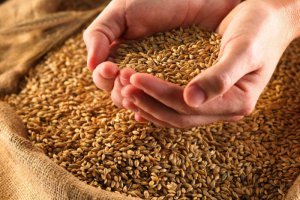 Украина выделит России два миллиона тонн зерна