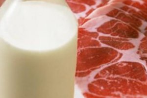 Молоко может подорожать на 20% из-за Налогового кодекса