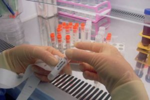 Из стволовых клеток впервые получена ткань человеческого тела