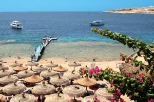 Украинцы продолжают отдыхать в Египте, несмотря на акул