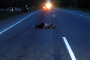 Житель Днепропетровска, подозреваемый в наезде на трех женщин, отказывается от дачи показаний