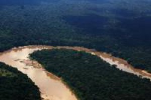 Экспедиция в дельту Амазонки обнаружила «затерянный мир»