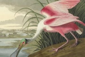 На аукціоні Sotheby's установлено новий рекорд