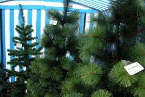 Сьогодні в Києві відкрилися ялинкові базари