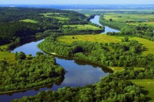 Заповедник «Расточье» может стать кафедрой Львовского лесотехнического университета