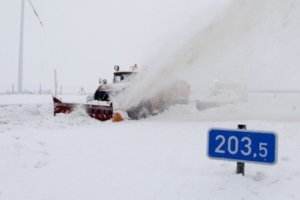 У Польщі жертвами морозів стали вже майже 90 осіб