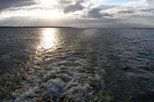 У води Дніпра потрапила невідома речовина