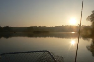 Україна отруює Росію отруйними відходами