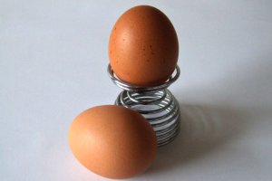 В Германии из-за диоксина закрыли более 4,7 тысяч ферм